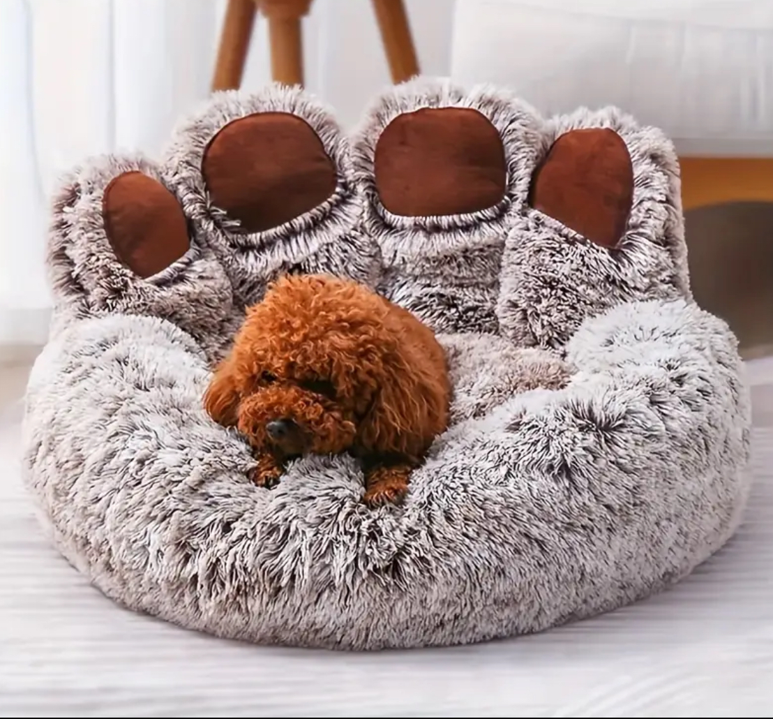 Orthopedic Dog Bed